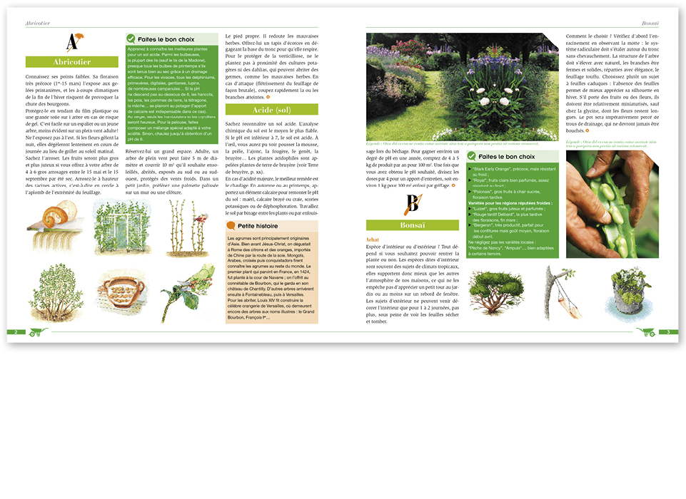 &ldquo;1001 trucs pour le jardin&rdquo;