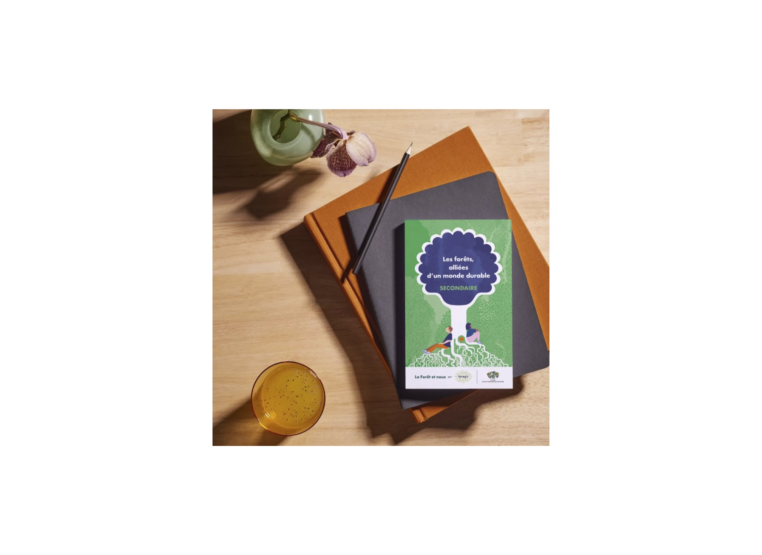 &ldquo;Les for&ecirc;ts, alli&eacute;es d'un monde durable&rdquo;