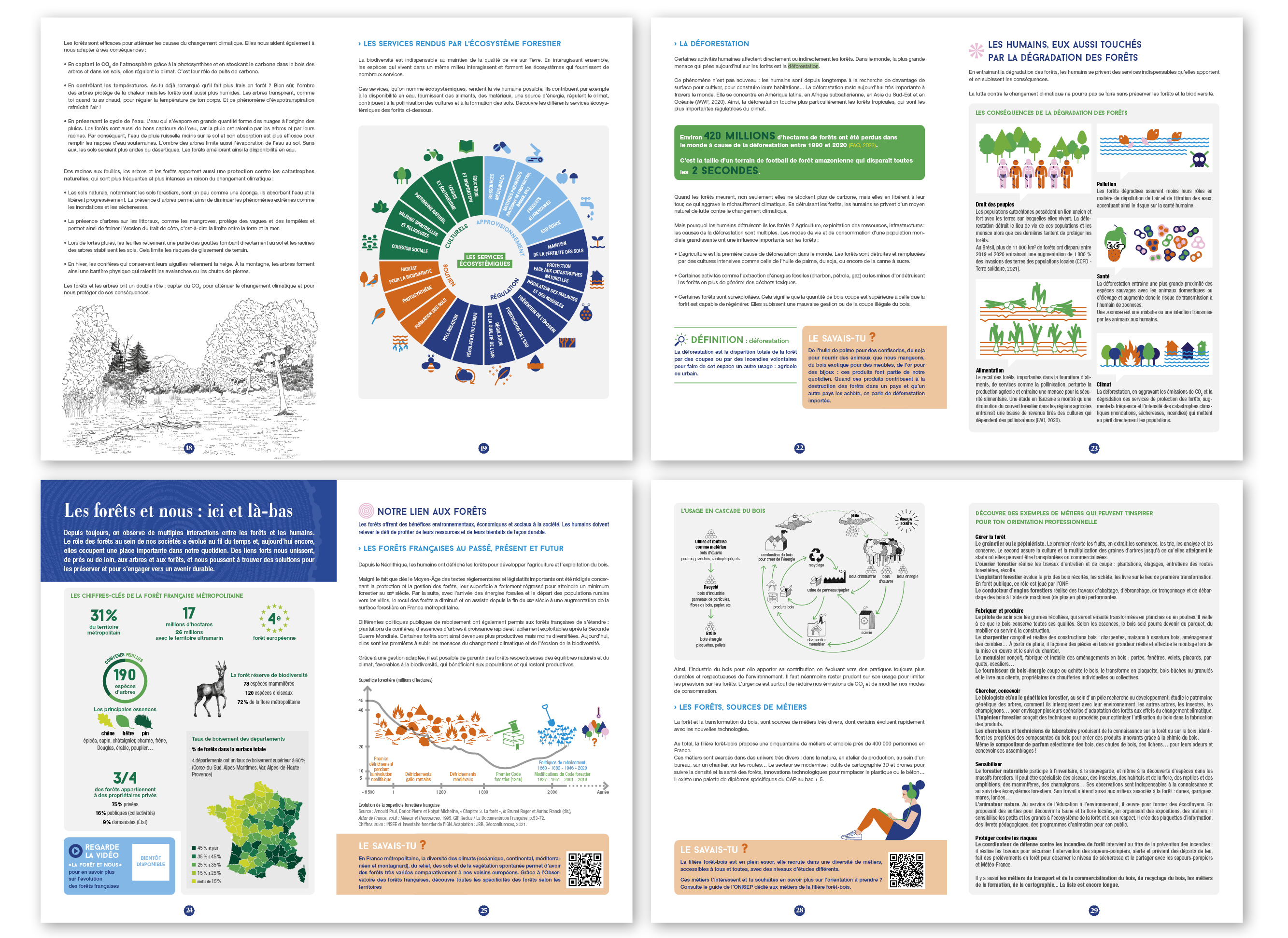 &ldquo;Les for&ecirc;ts, alli&eacute;es d'un monde durable&rdquo;