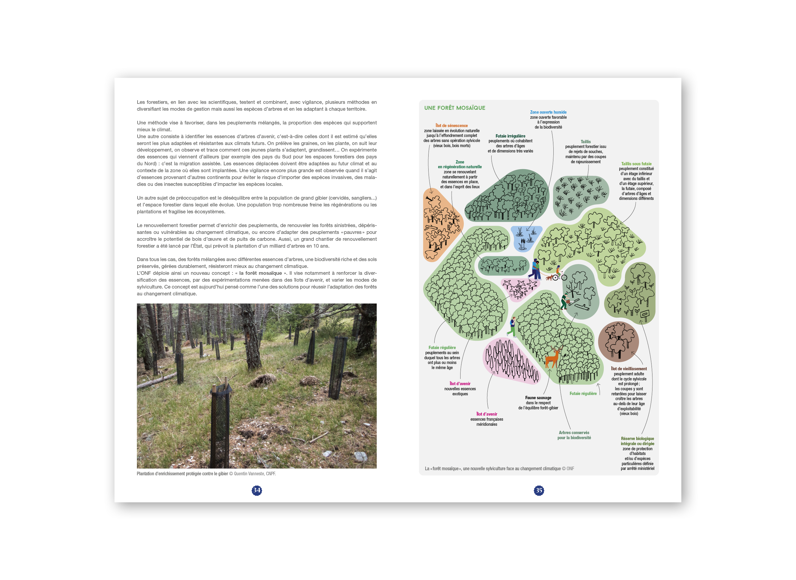 &ldquo;Les for&ecirc;ts, alli&eacute;es d'un monde durable&rdquo;