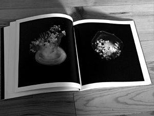 &ldquo;Sur l&rsquo;ombre calme et noire&rdquo;