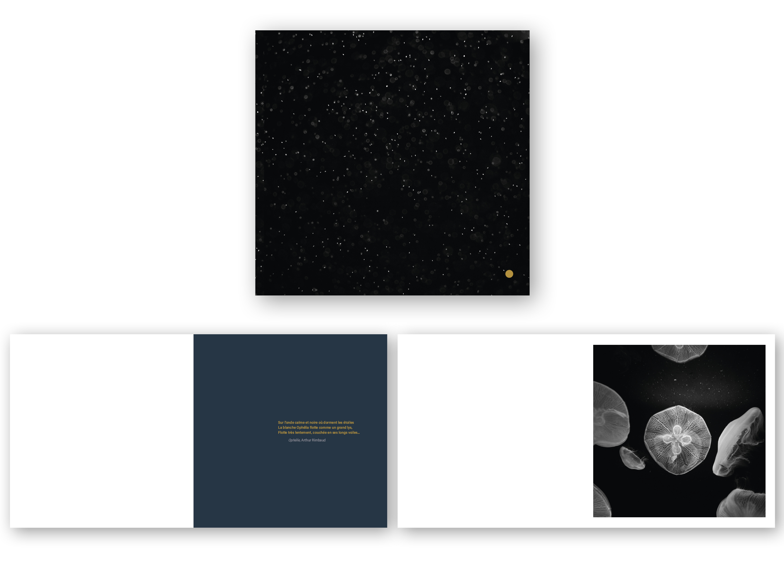 &ldquo;Sur l&rsquo;ombre calme et noire&rdquo;