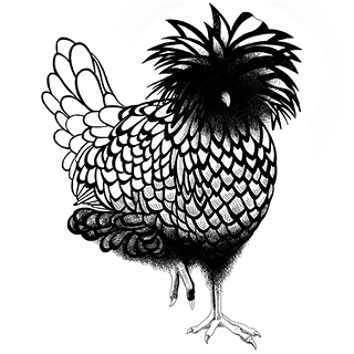 Géraldine Lepoivre - graphiste | directrice artistique